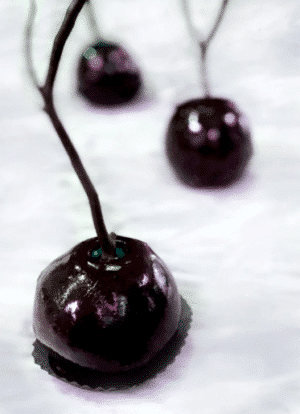 The Poison Apple (Set of 4)