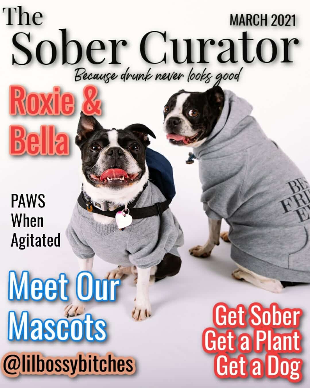 roxie and bella sober curator