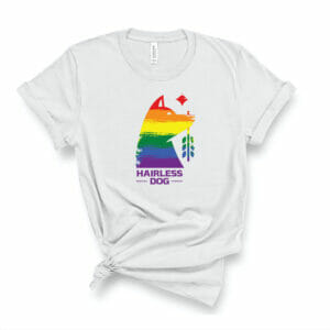 PRIDE TEE – LIMITED EDITION