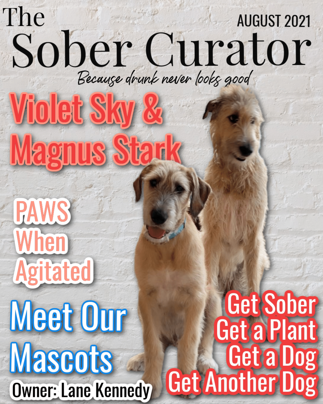Magazine The Sober Curator
