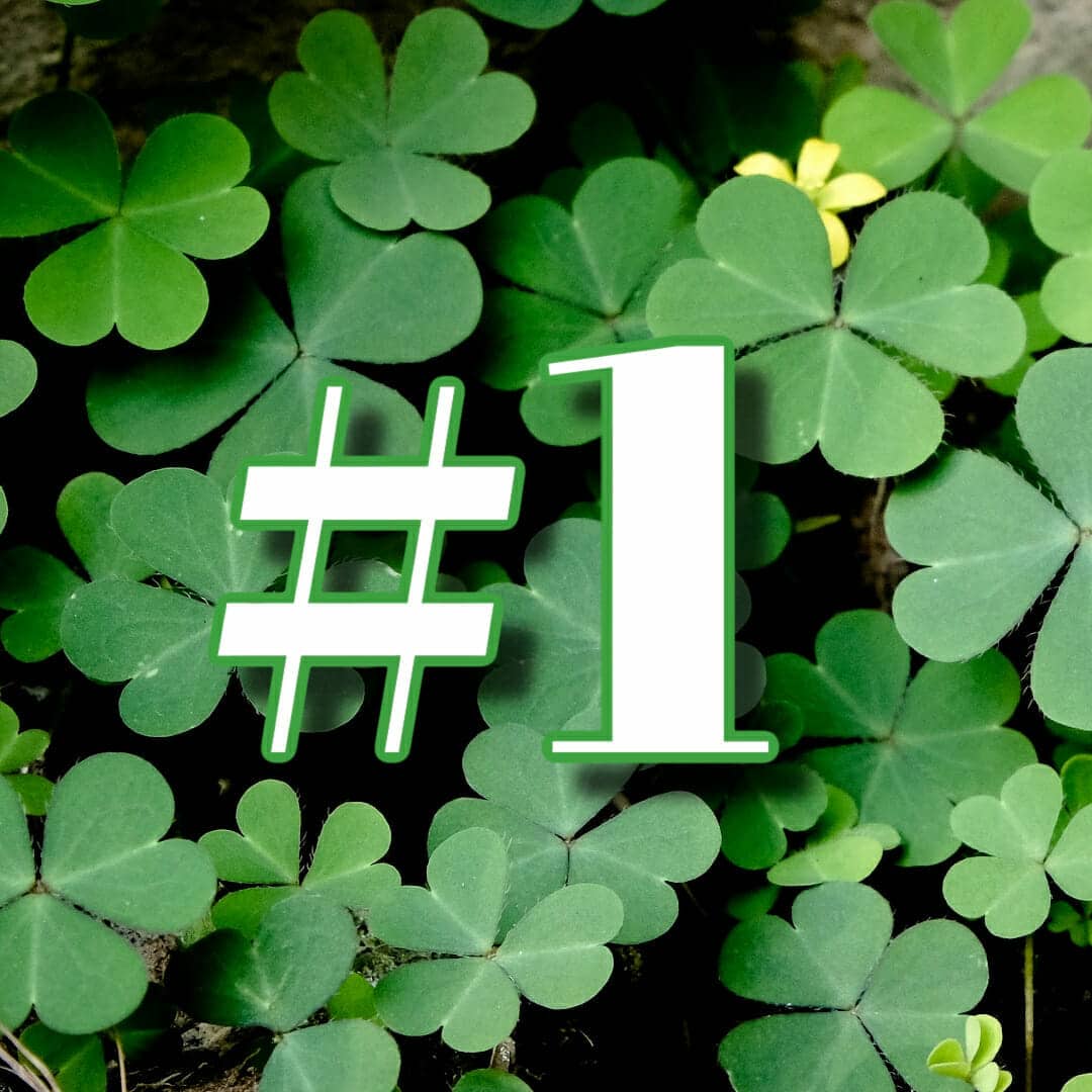 How To Find A 4-Leaf Clover - Secrets from Experts and Leprechauns